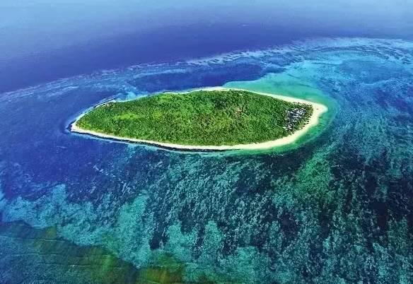 深圳机场日均航班超1200架次