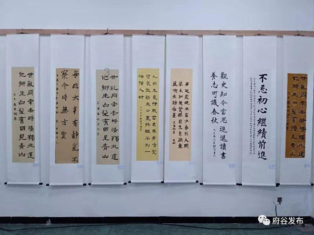 小猫钓鱼正版下载中文版
